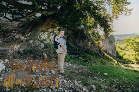 Nosidełko LennyPreschool z tkaniny żakardowej (63% bawełna, 37% wełna merino), rozmiar preschool - ZEBRA - SAVANNA (drugi gatun